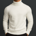 Enzo Merino Wool Turtleneck