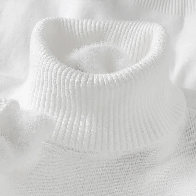 Enzo Merino Wool Turtleneck